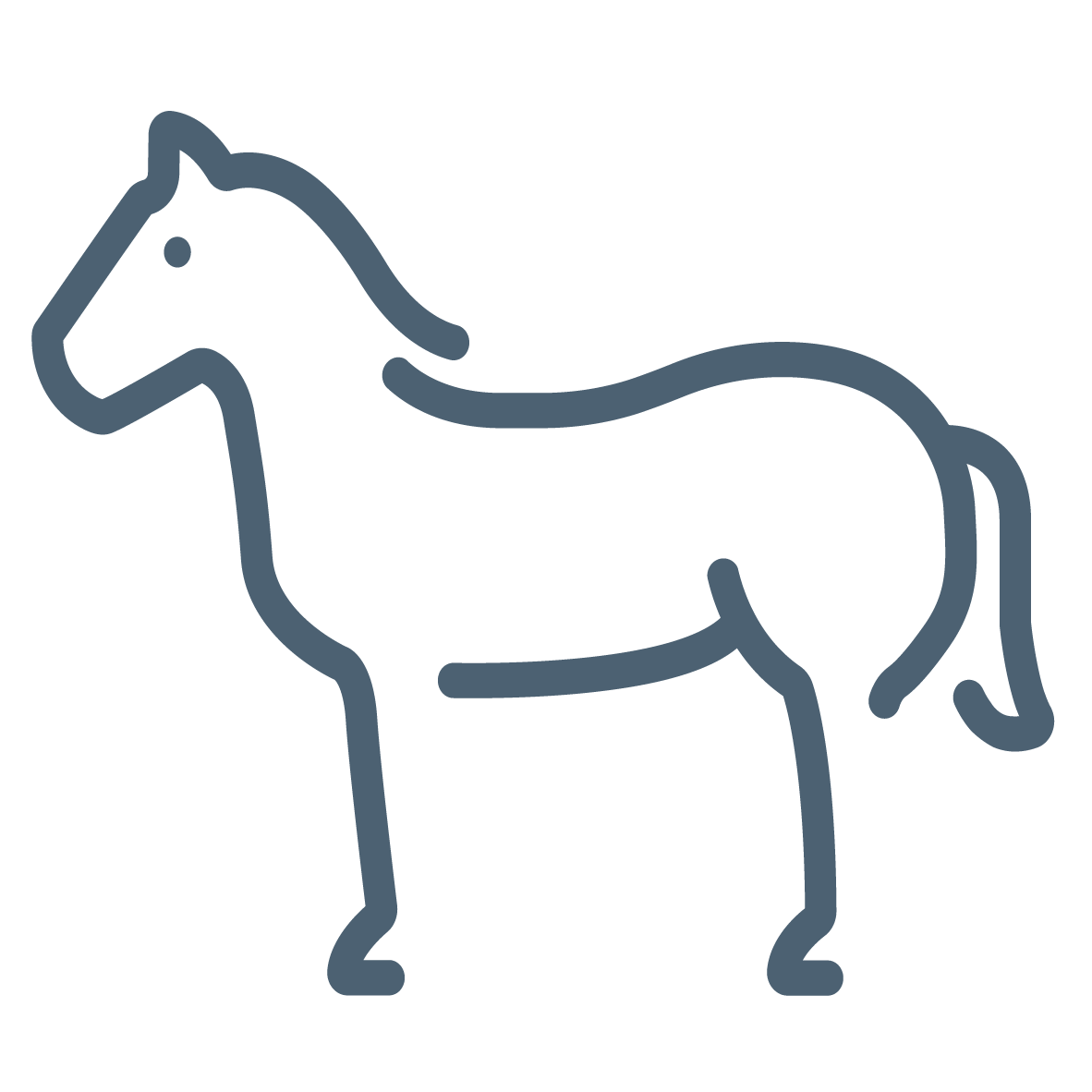 Pferde