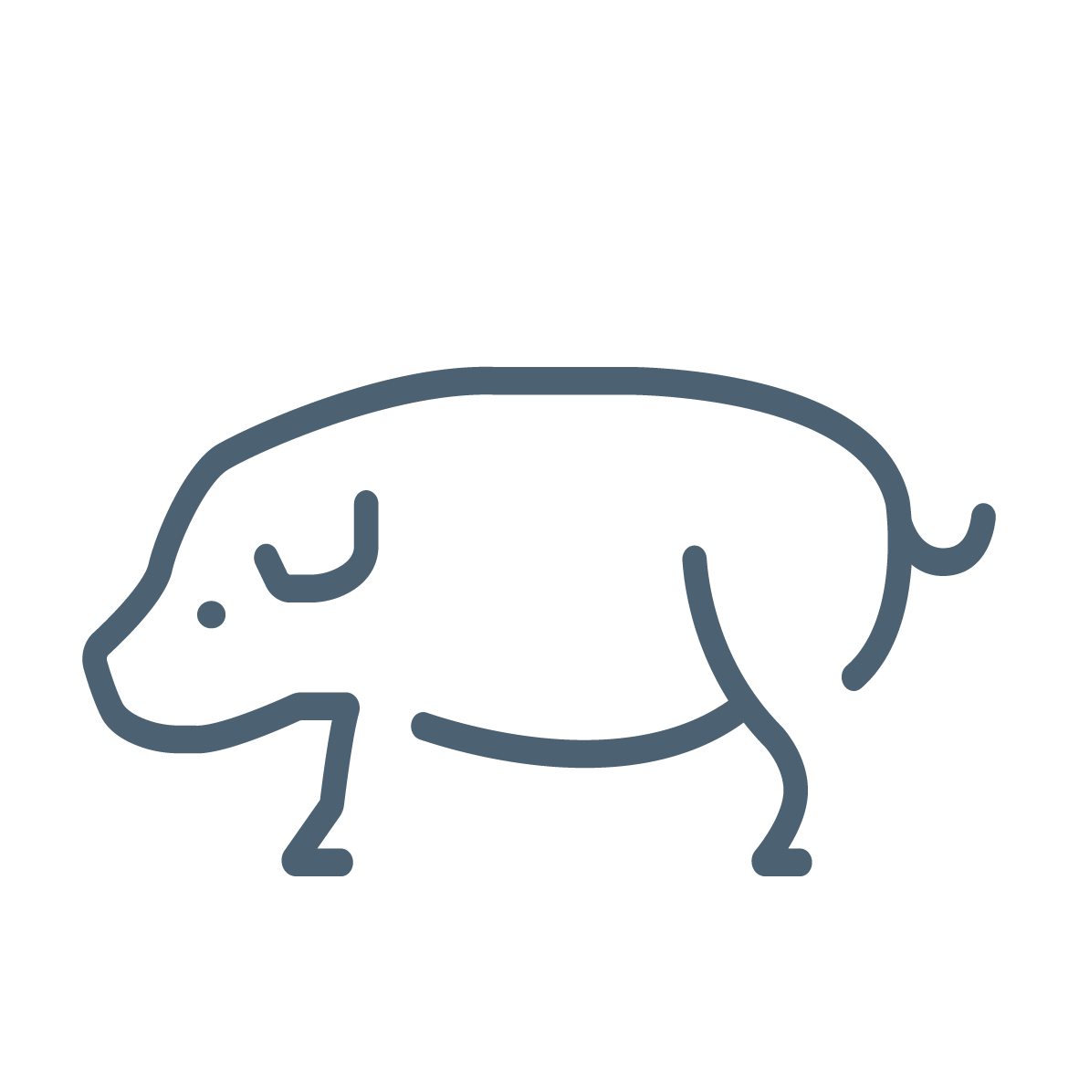 Schweine